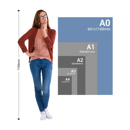 Paper and Poster Print Sizes from A4 to A0 - A0 Highlighted